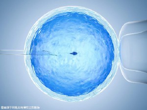 代生选性别包生男孩试管婴儿中心
